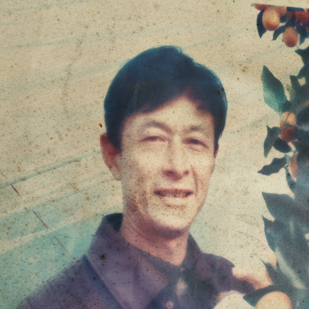 会员196081336的照片