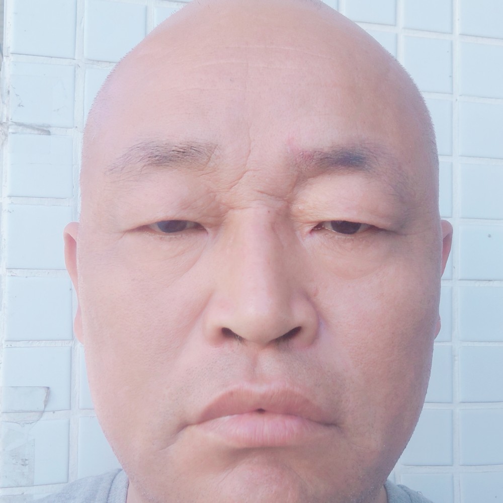天马行云的照片