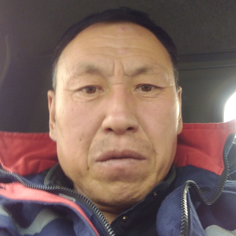 乌龟耍酷的照片