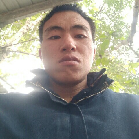 斯堪尼亚的照片