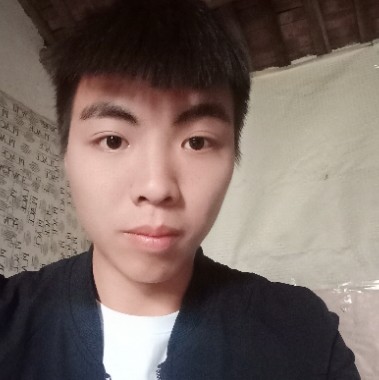 幽默向日葵的照片