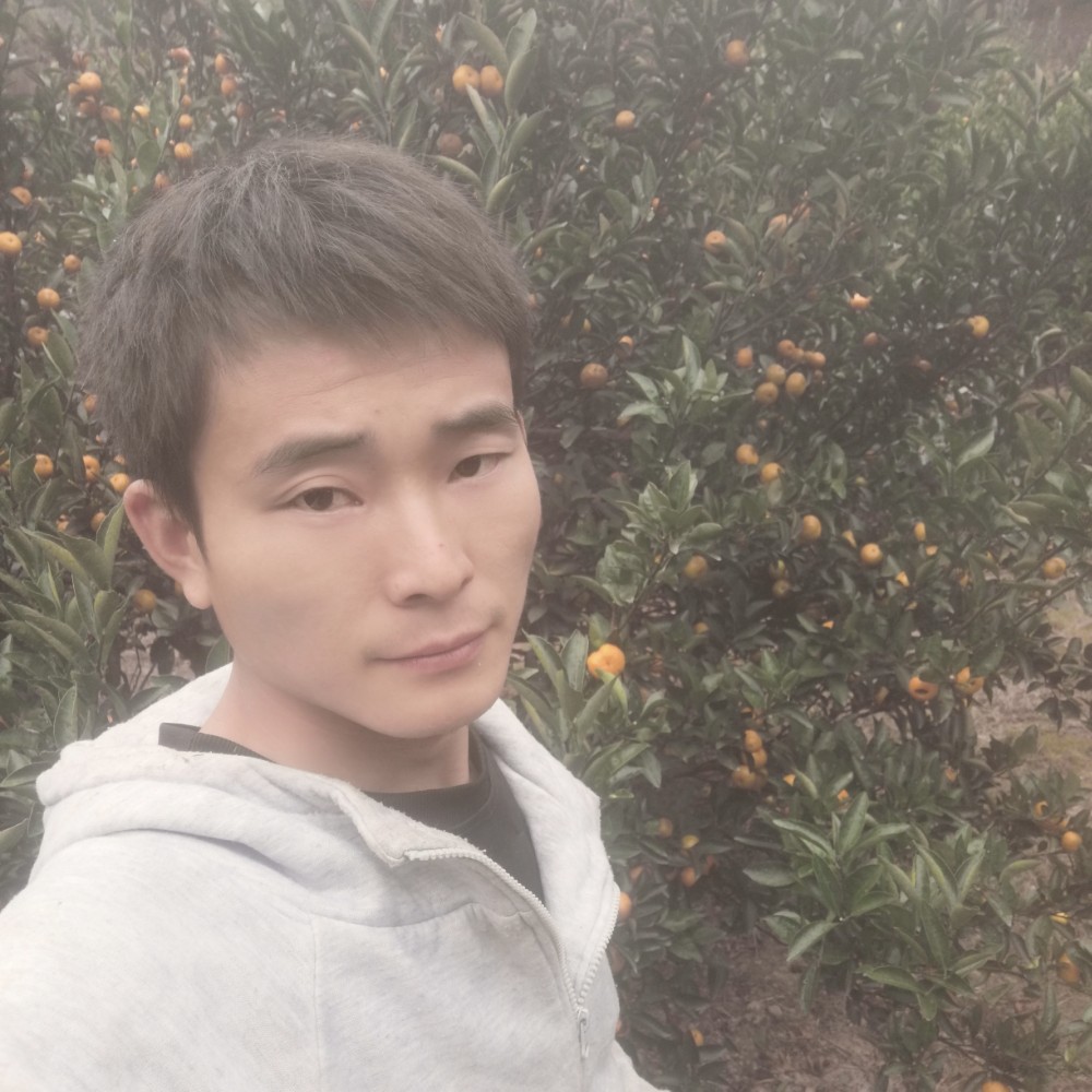 @明天的照片