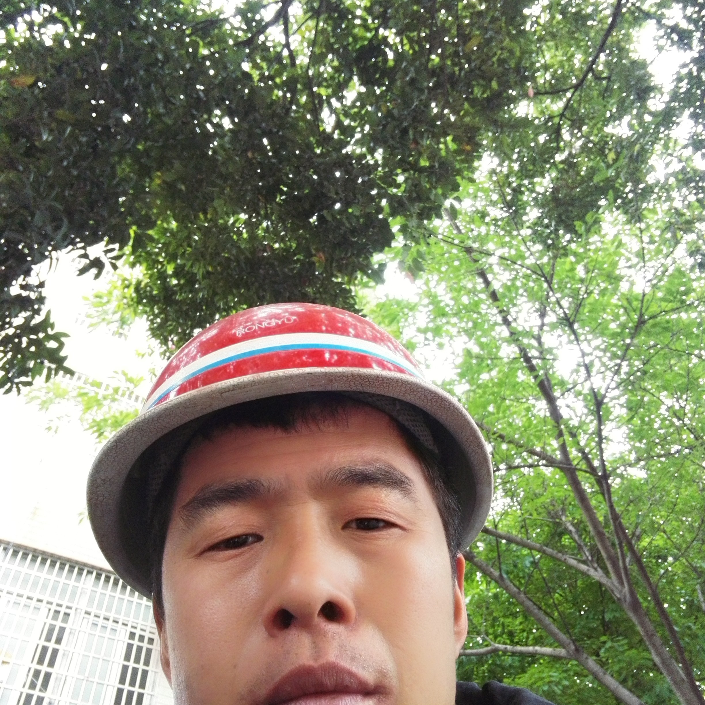 送亲的照片