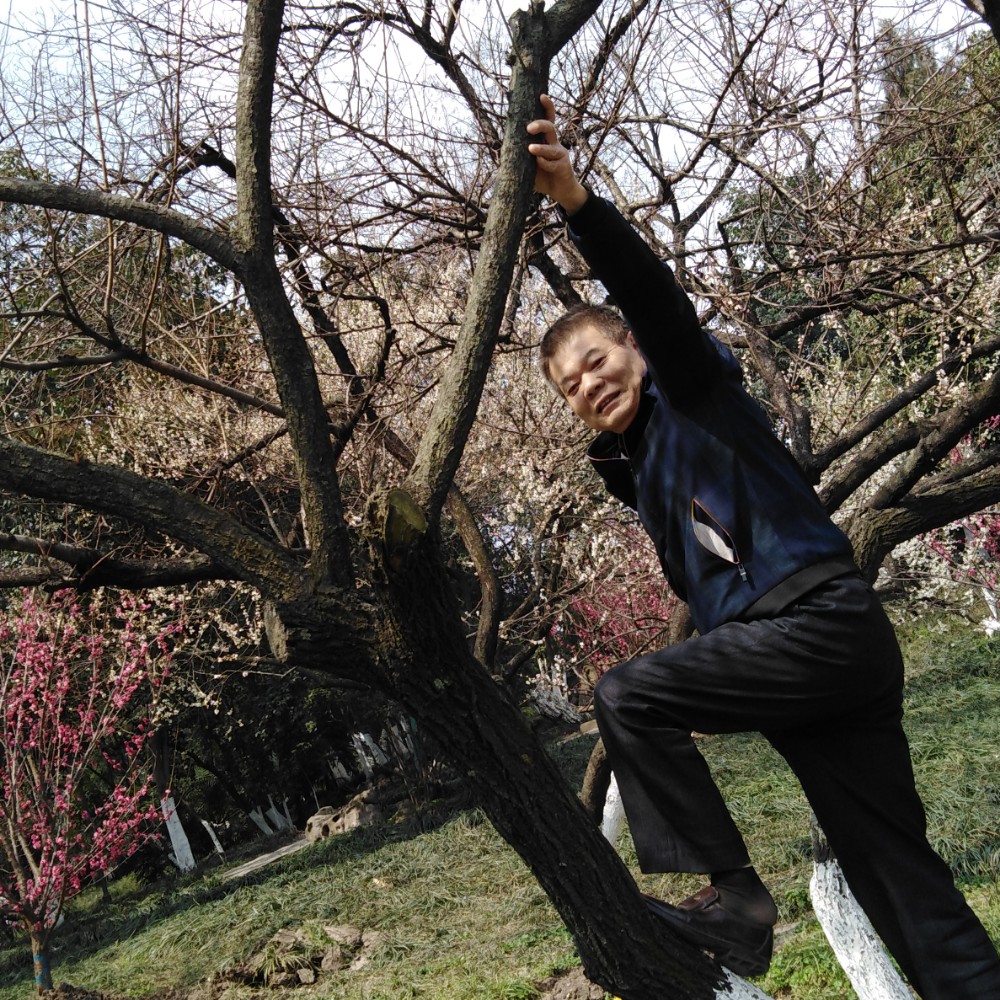 会员442215990的照片