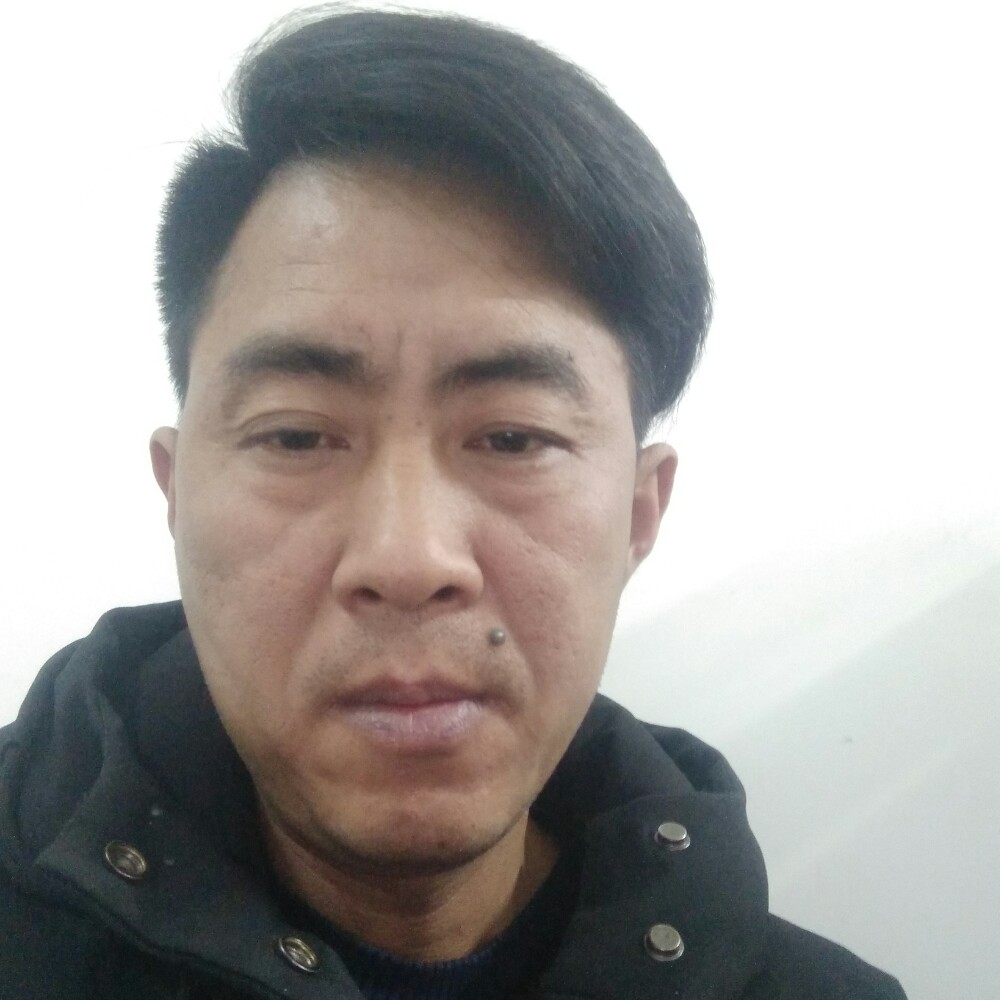 独狼8的照片