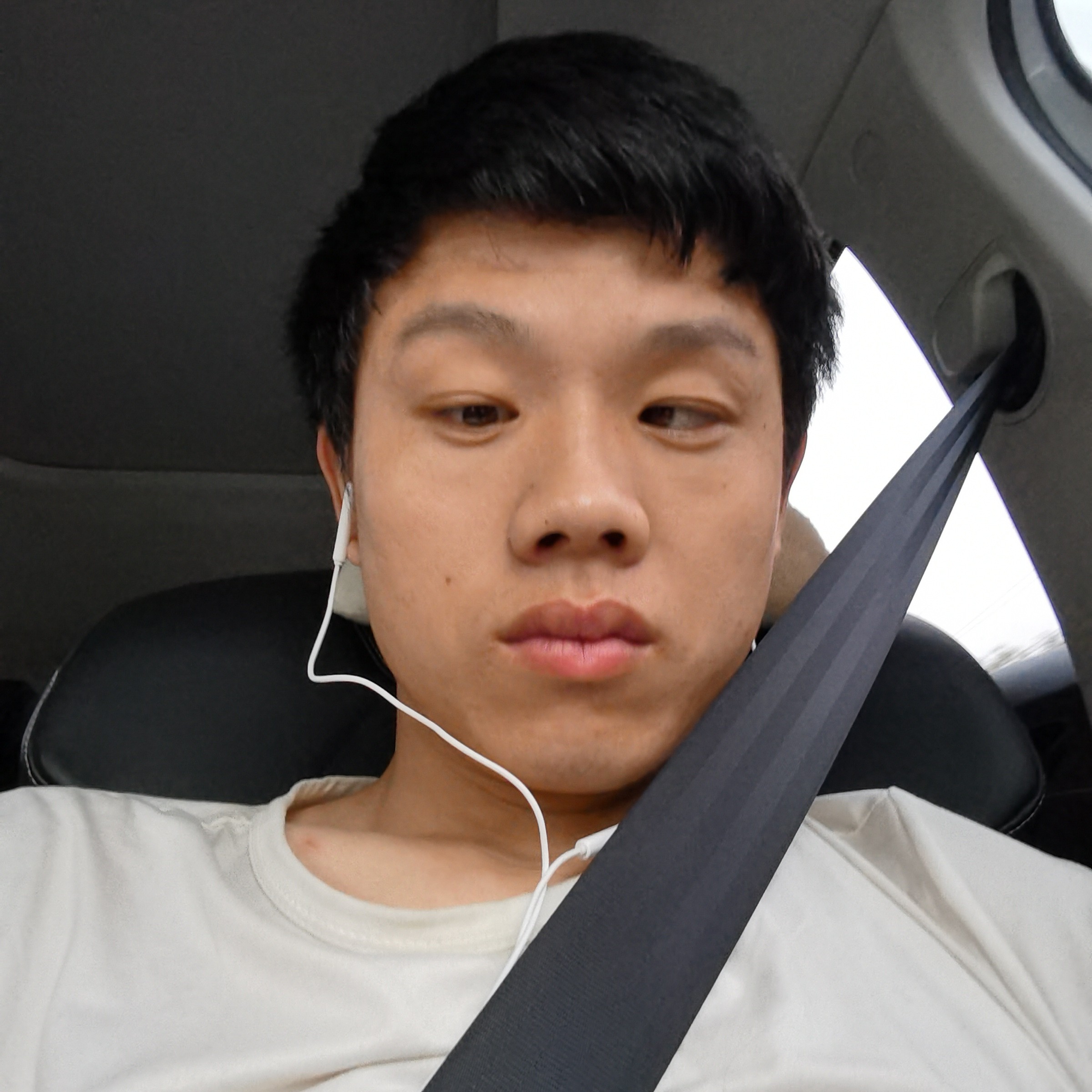 俊秀愿水杯的照片