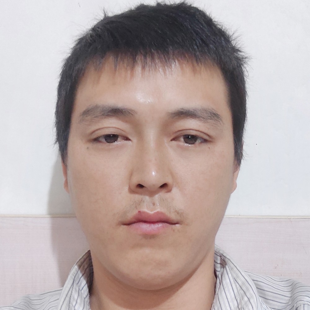 天空飞燕的照片