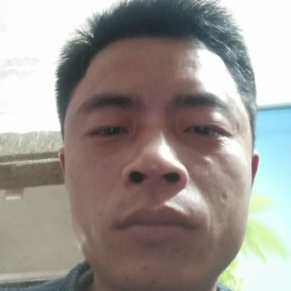 兰花园的照片