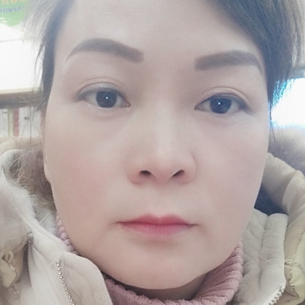 可爱的猪宝宝的照片