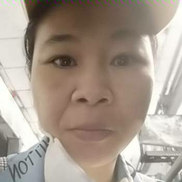 柠檬用老实的照片