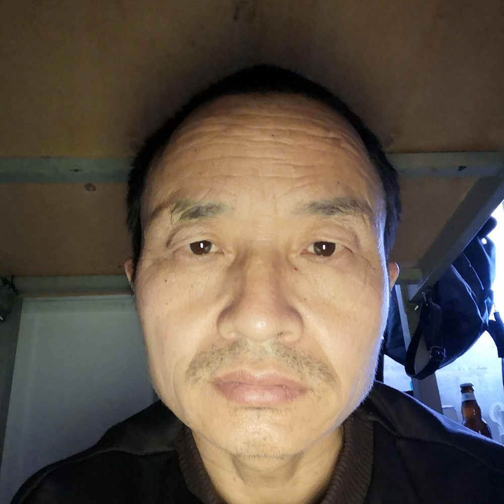 星星呆萌的照片