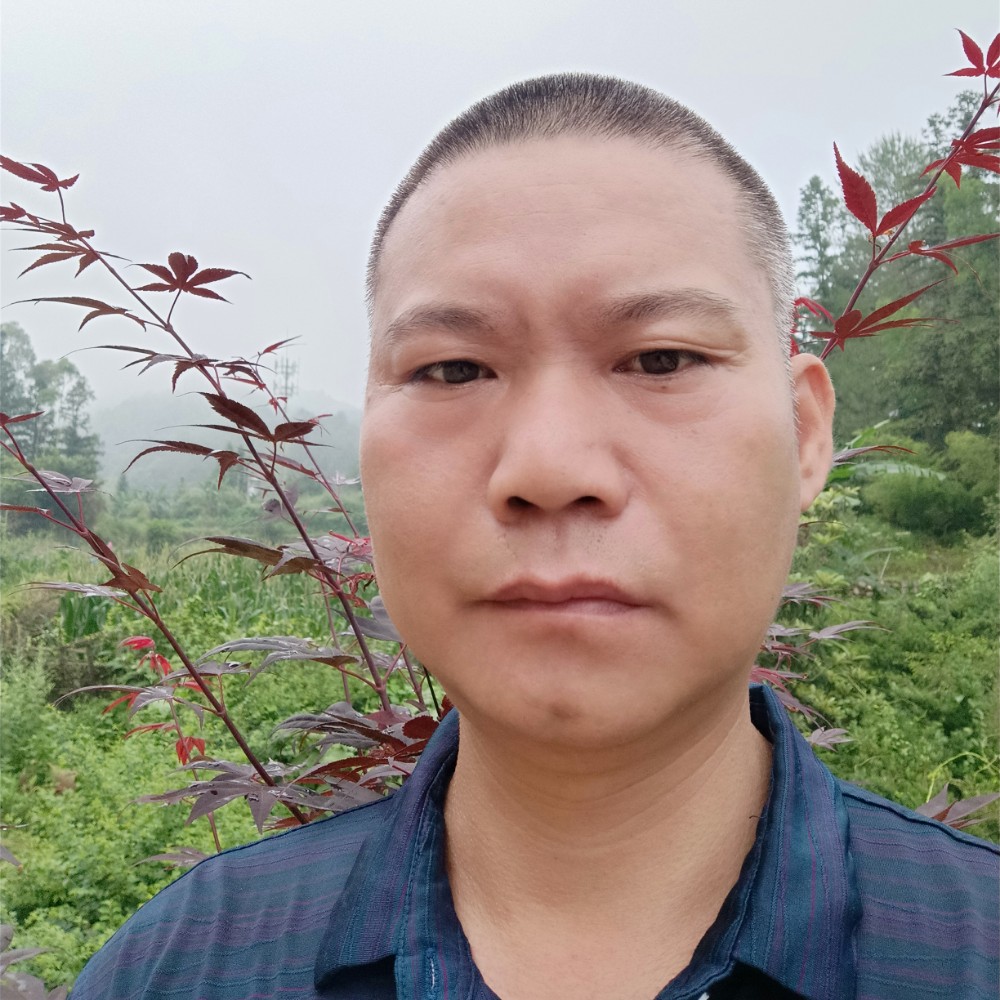 7962的照片