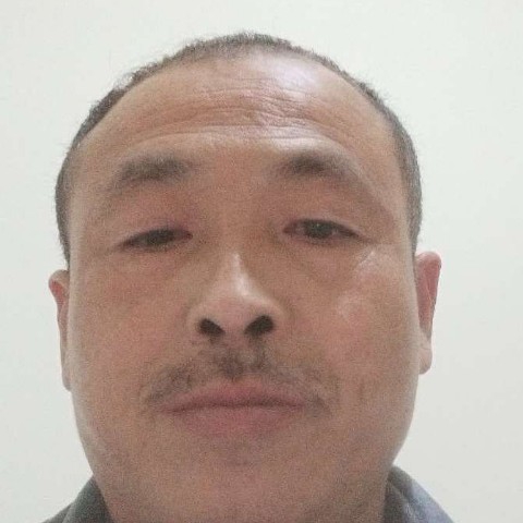 星雨说包容的照片