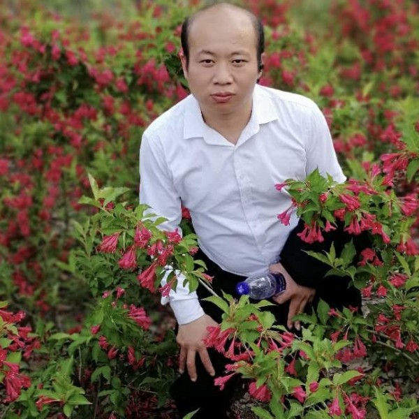 砖头浅吻温暖的照片