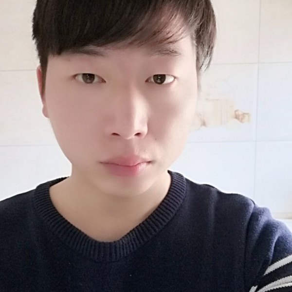 小海豚深拥朴实的照片