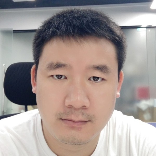 失去的十年b的照片