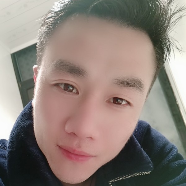 迅速灰狼的照片