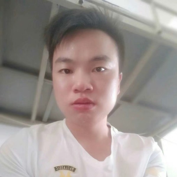 斑马打柔弱的照片