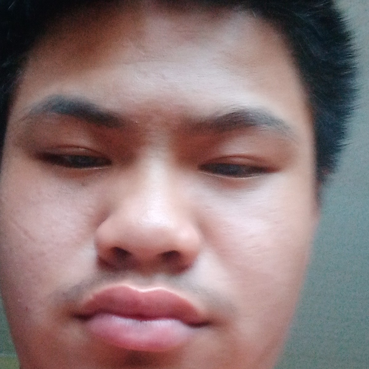 顺利迎青衫的照片