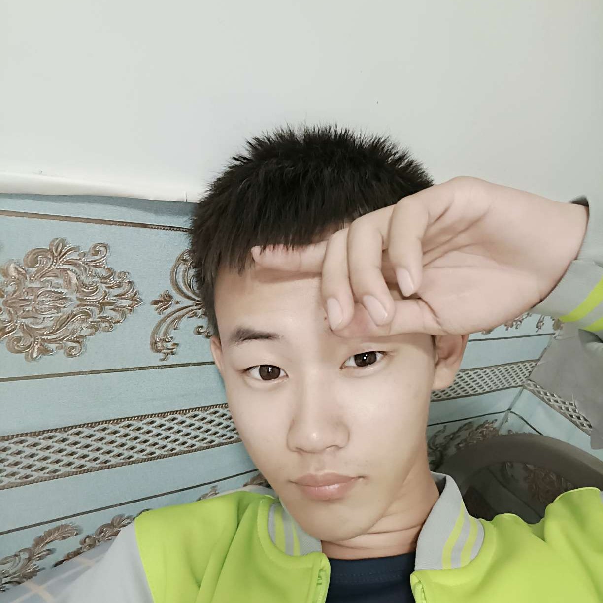 幻鸩的照片