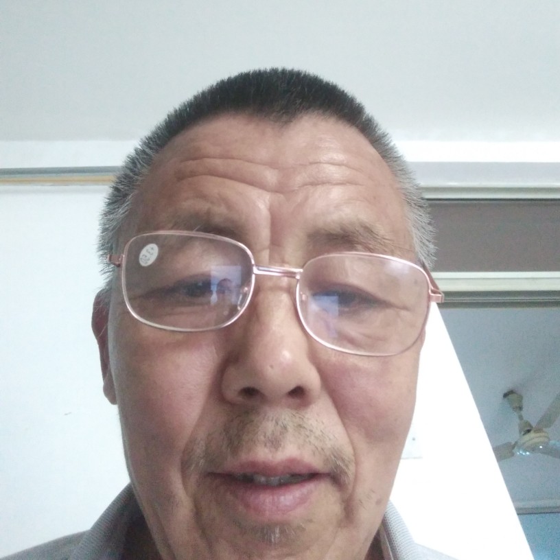 寂寞猪头的照片