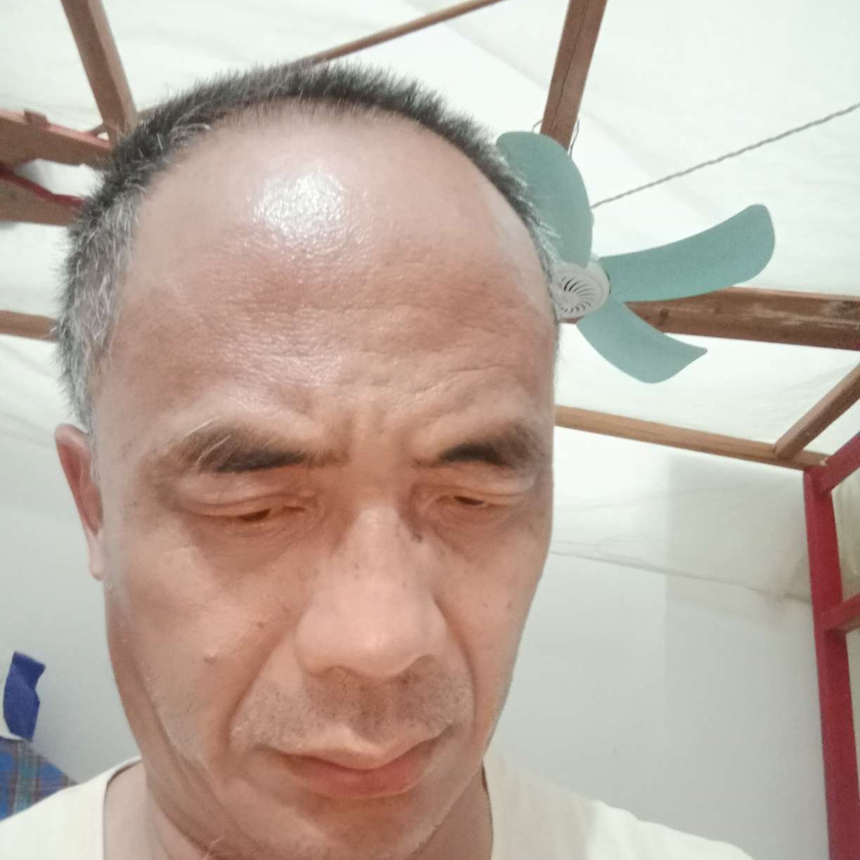 戴少文的照片