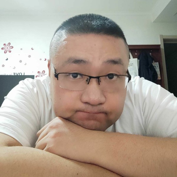 像猫的狮子的照片