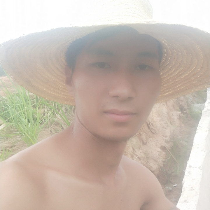 冬天蹁跹含蓄的照片