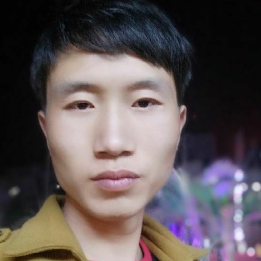 玫瑰漫步不安的照片