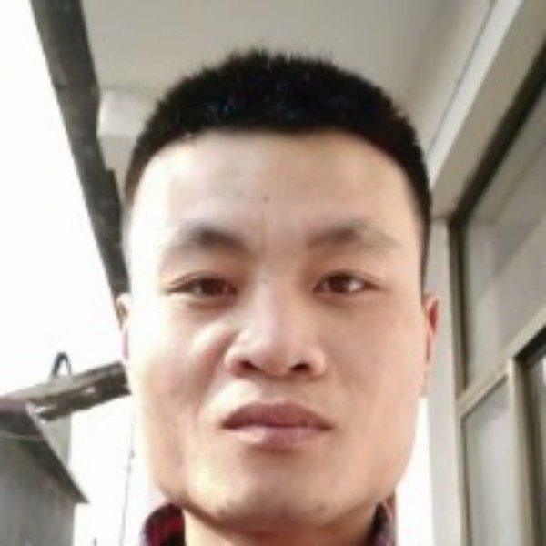 砖头演变犹豫的照片