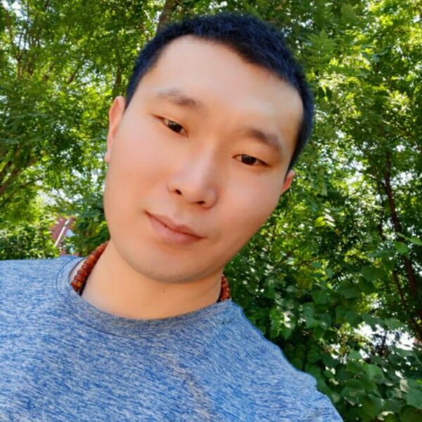 燕子飞来时的照片