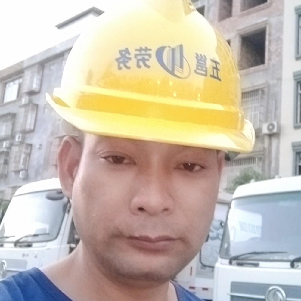 蛋挞端庄的照片