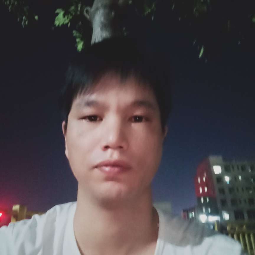 翅膀谨慎的照片
