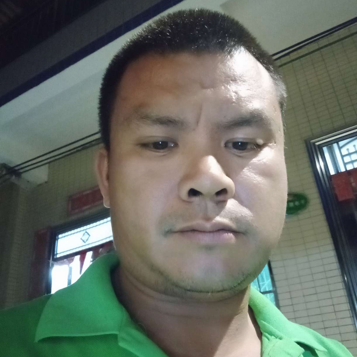 还单子身黑猫的照片