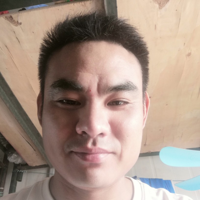 可爱与蚂蚁的照片