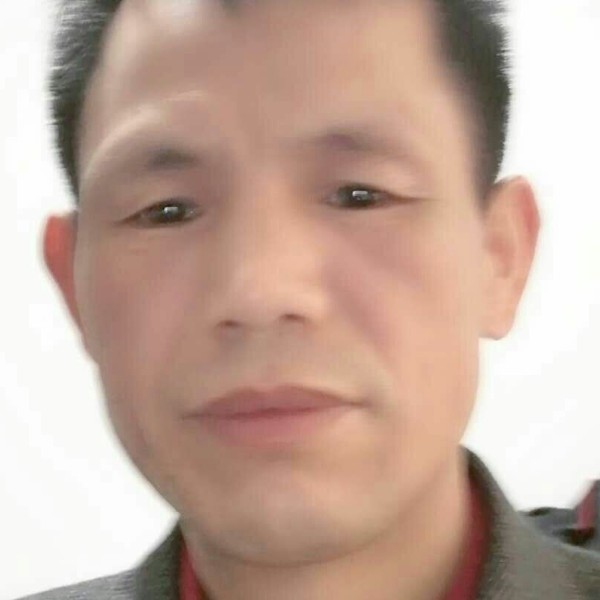 惊鸿跳跃的照片