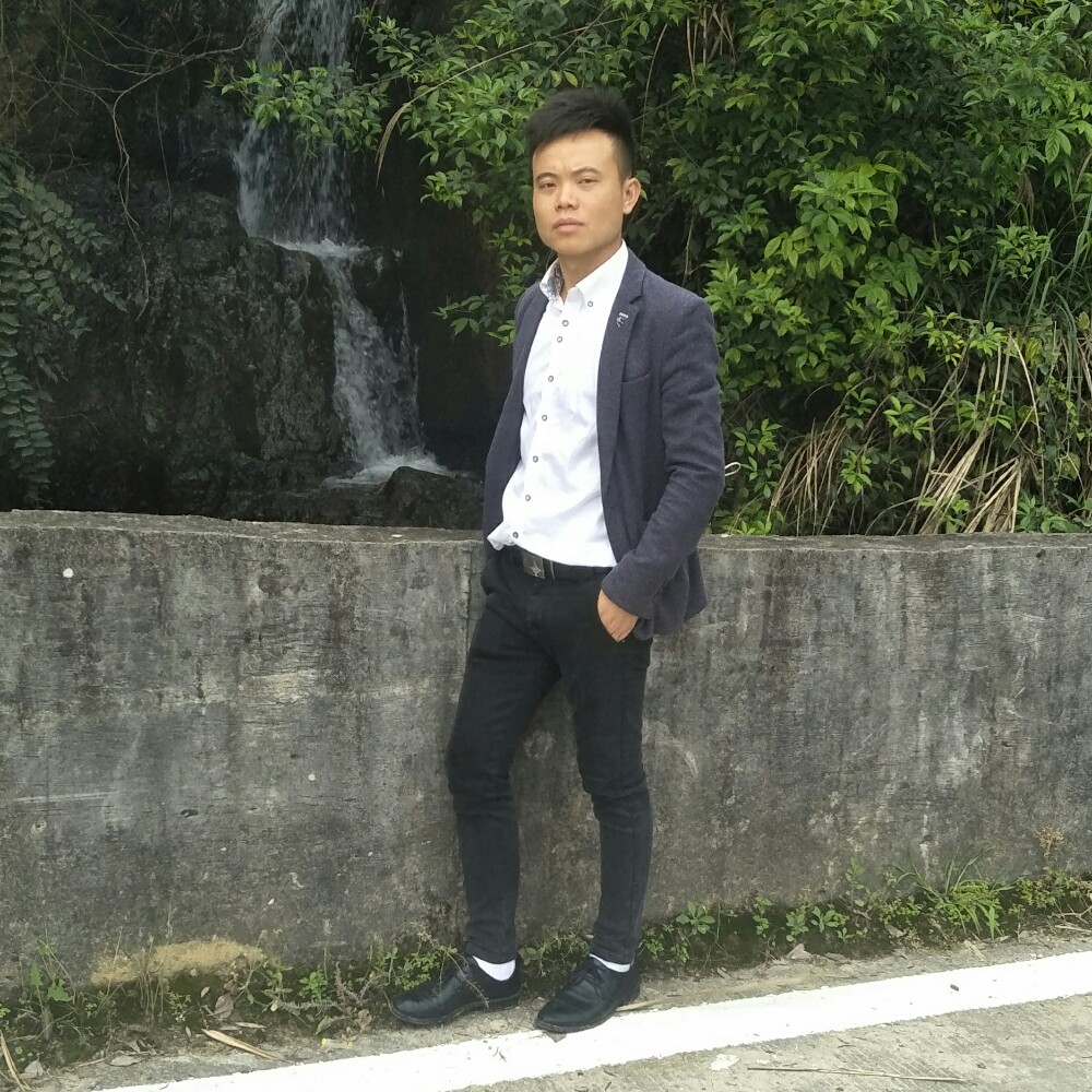 林中飞翔的照片