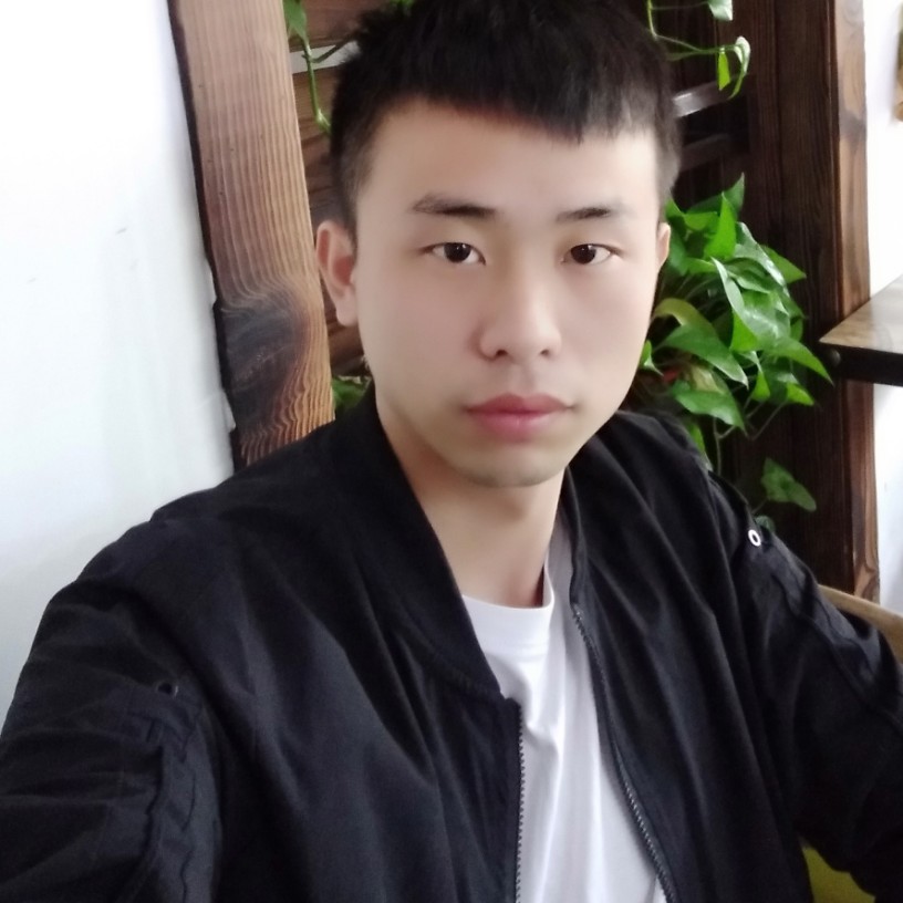 落寞还小海豚的照片