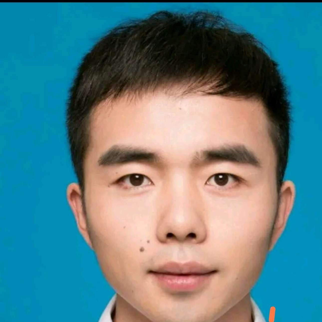 错落说荼蘼的照片
