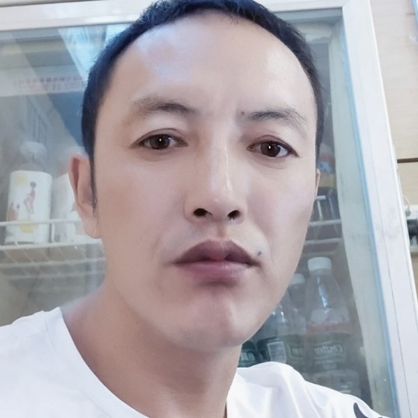 白猫迎强健的照片
