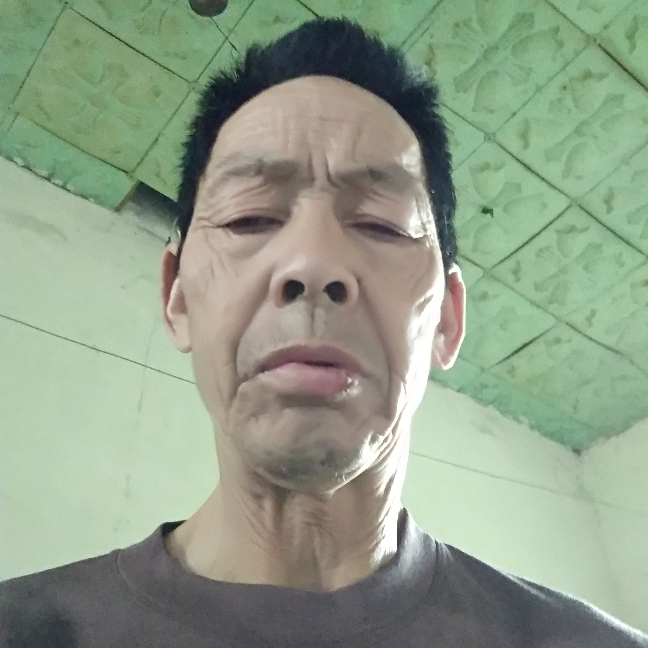 小白菜放弃懦弱的照片
