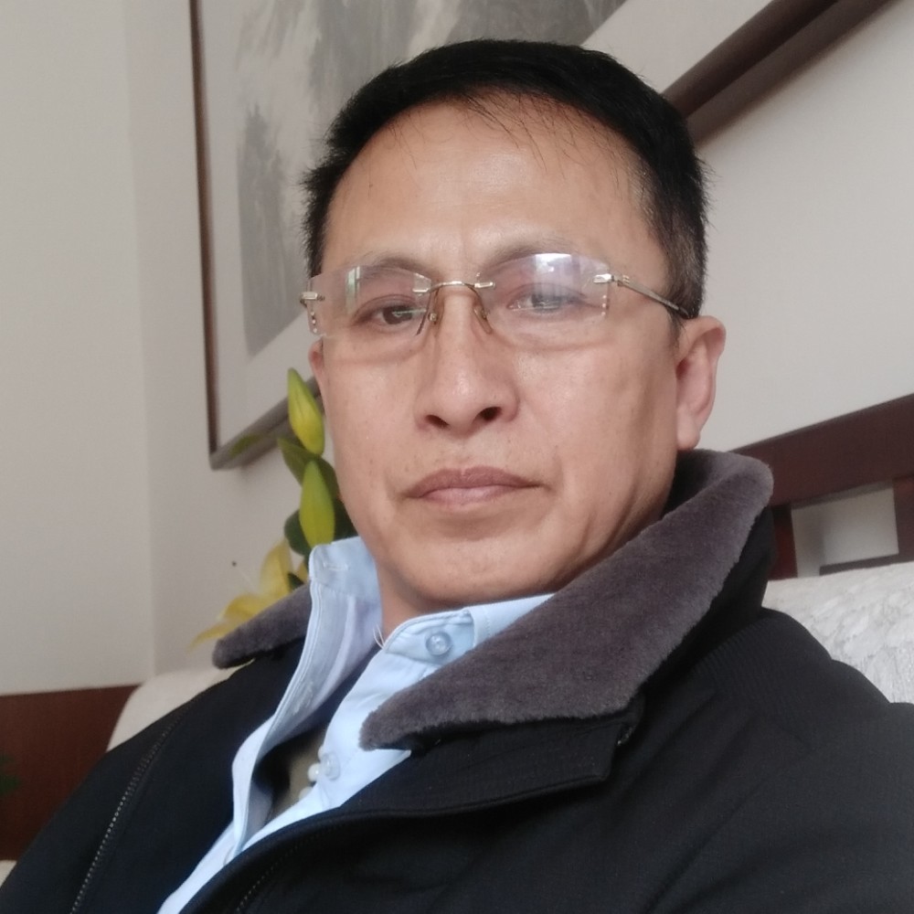 中华白海豚的照片