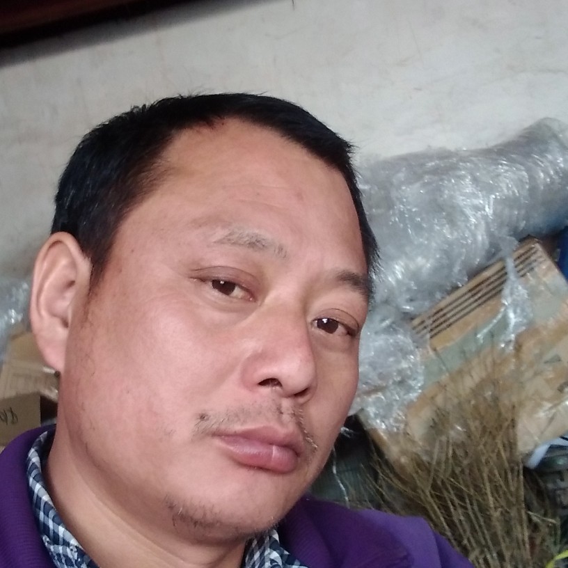 向命运不低头的照片