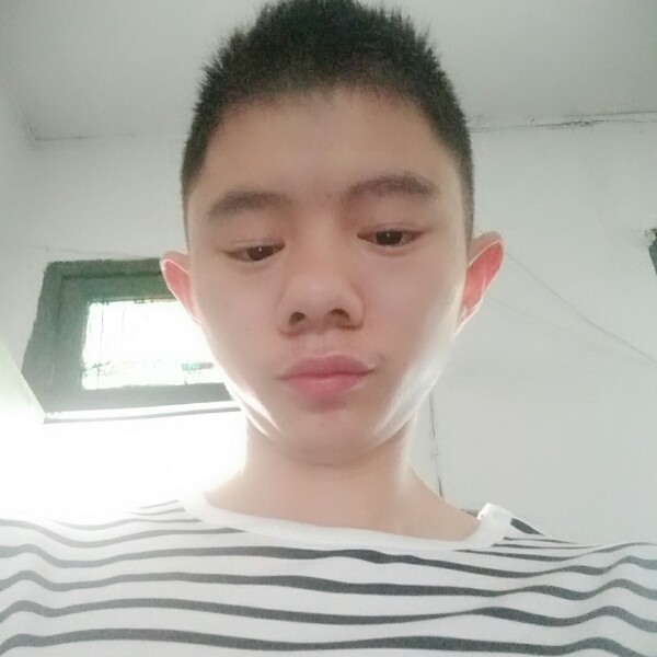 英勇月光的照片