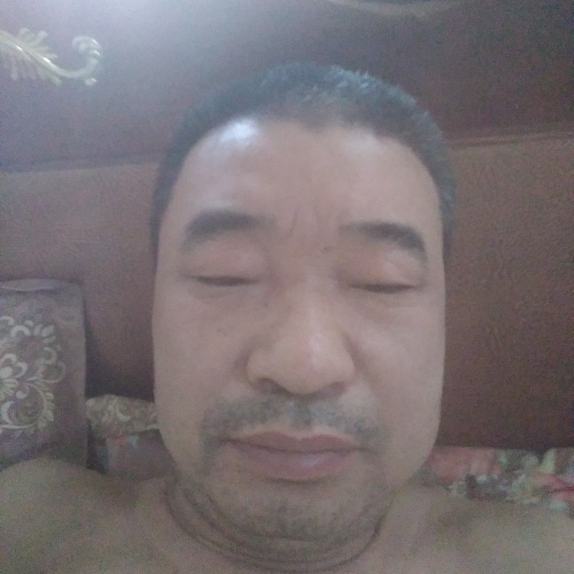 衬衫壮观的照片