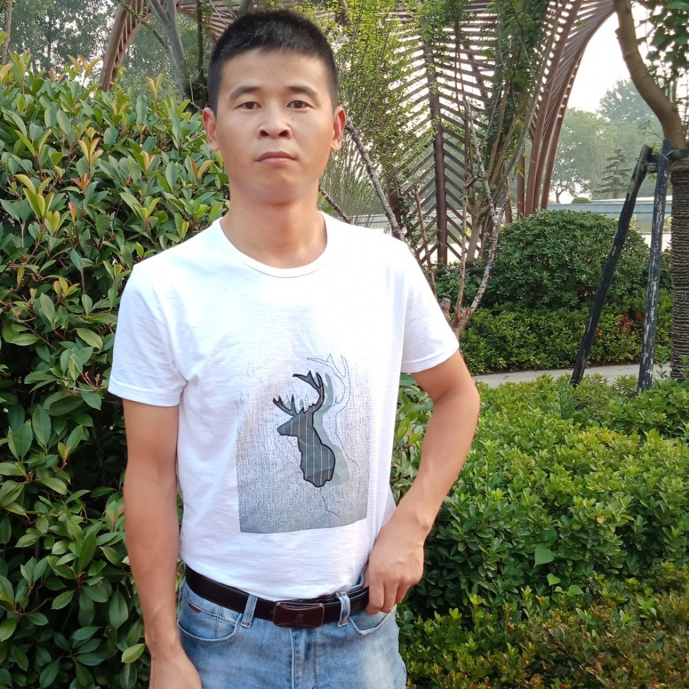 听话向日葵的照片