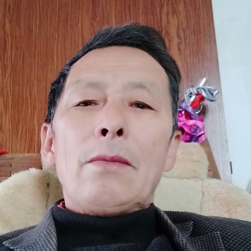 胡萝卜明媚的照片