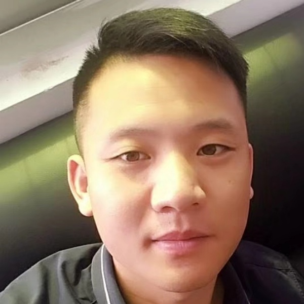 能干漫步蚂蚁的照片