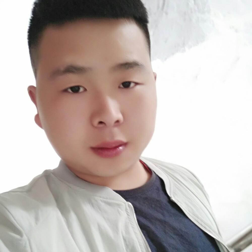 坦率飞鸟的照片