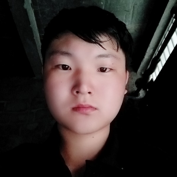 光亮猫咪！的照片
